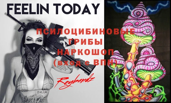 дурь Богородск