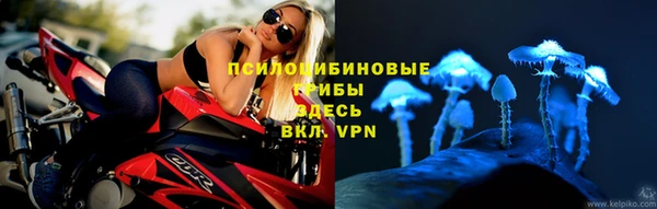 метамфетамин Белокуриха