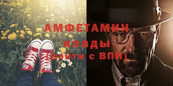 гидра Богданович